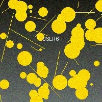 用户彩票之王头像